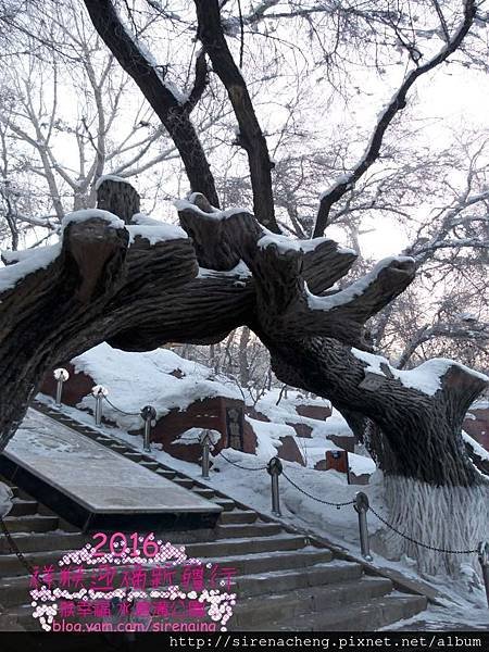 2016新疆烏魯木齊六日遊_水磨溝清泉寺_Sirena Cheng