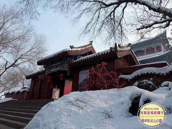 2016新疆烏魯木齊紅山公園_SirenaCheng