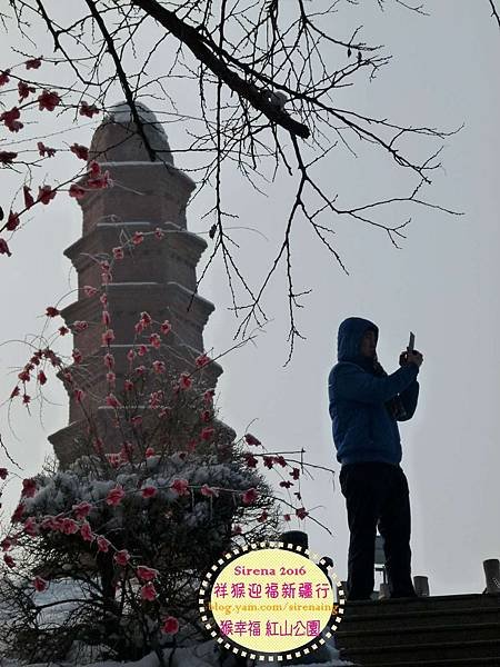 2016新疆烏魯木齊紅山公園_SirenaCheng