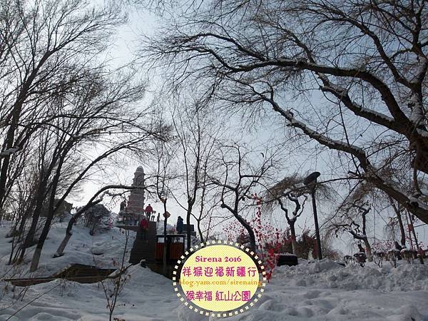 2016新疆烏魯木齊紅山公園_SirenaCheng