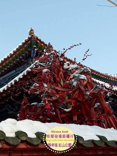 2016新疆烏魯木齊紅山公園_SirenaCheng