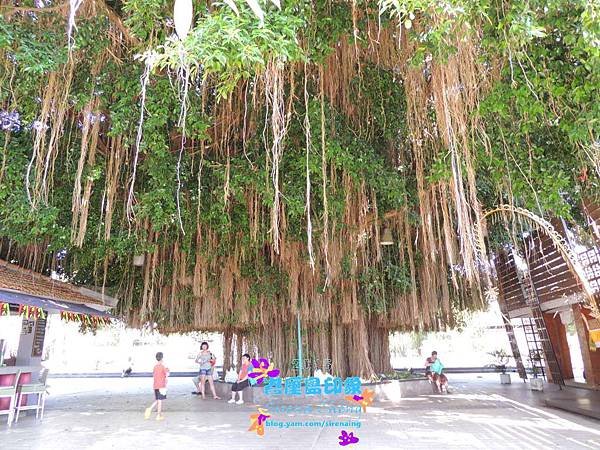 20150721_0725_巴里島五日遊_SirenaCheng