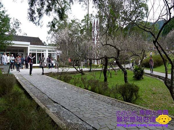 20160110桃園角板山_東眼山_普拉多山丘民宿一日遊_SirenaCheng