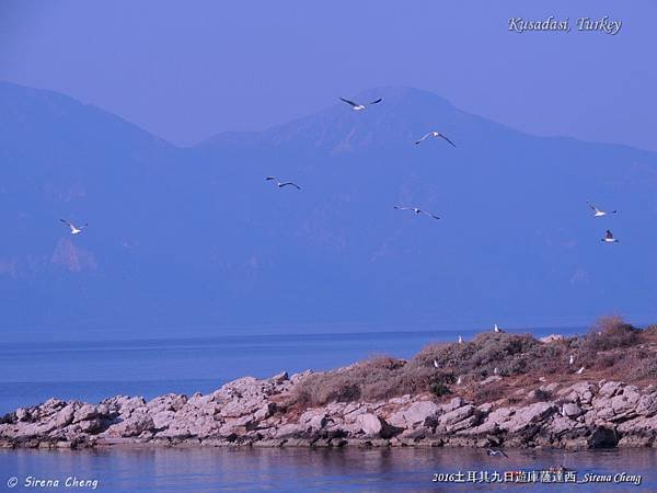 2016土耳其九日遊_Turkey Kusadasi_Sirena Cheng