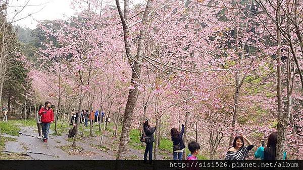 20140302_103916.jpg