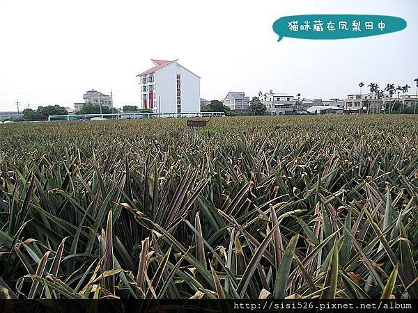 CIMG8057_副本.jpg