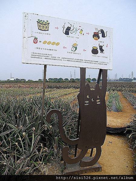 CIMG8061.JPG