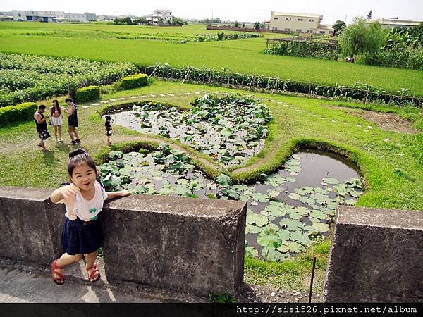 雙 (17).JPG