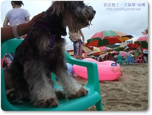 還沒下水前的達妹