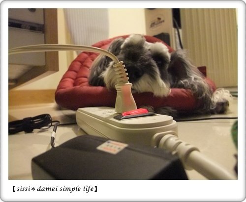 DSCF4168.JPG