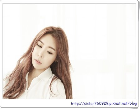 D.Holic6
