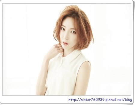 D.Holic13