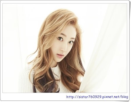D.Holic19
