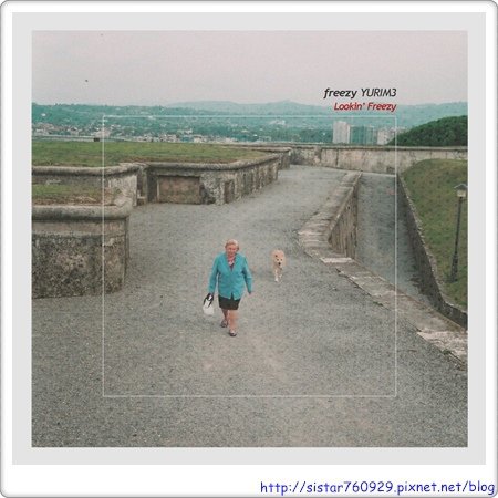20007469.jpg