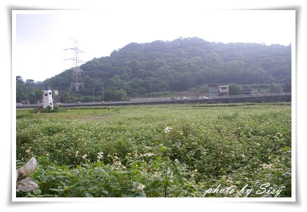 DSC01988