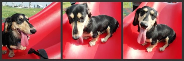 SAM_0401_conew1.jpg