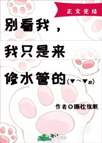 [原創小說]撕枕猶眠 - 別看我，我只是來修水管的！[無限]
