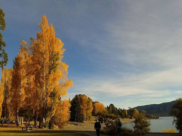 NZ autumn4