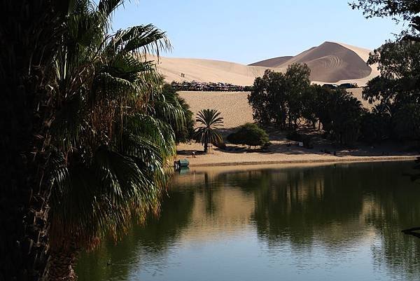 秘魯 (13)  - 瓦卡奇納 (Huacachina) -