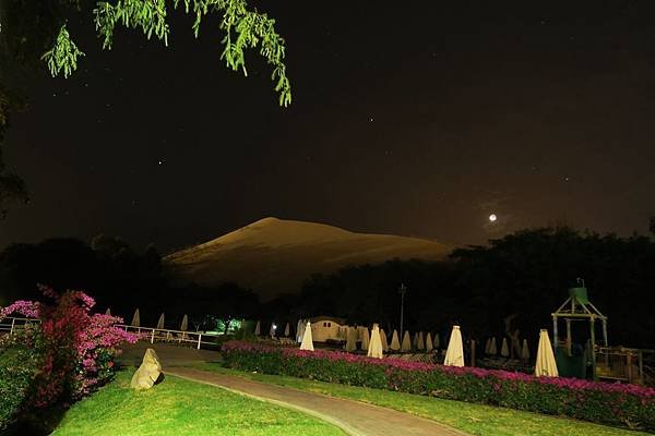 秘魯 (13)  - 瓦卡奇納 (Huacachina) -