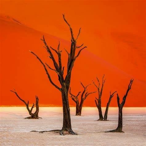 N-Deadvlei2.jpg