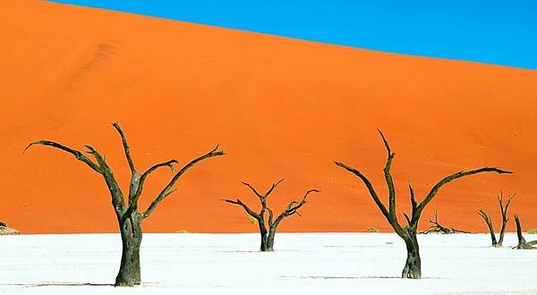 N-Deadvlei3.jpg