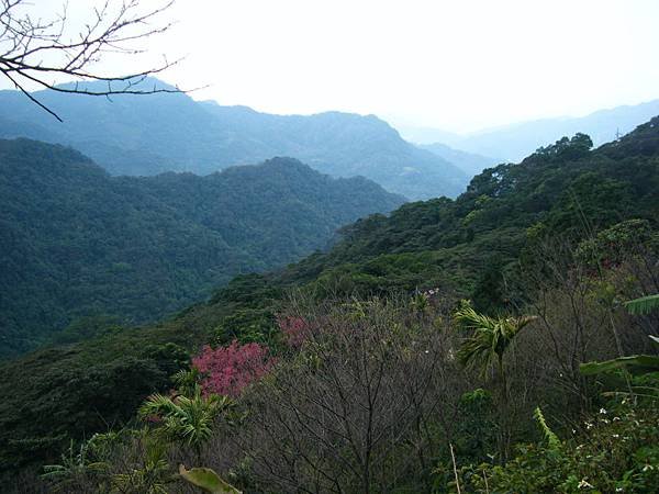 DSCF6078.JPG