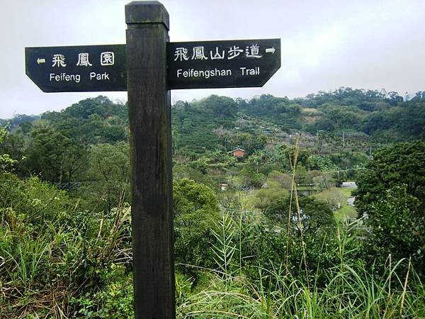 DSCF8374.JPG