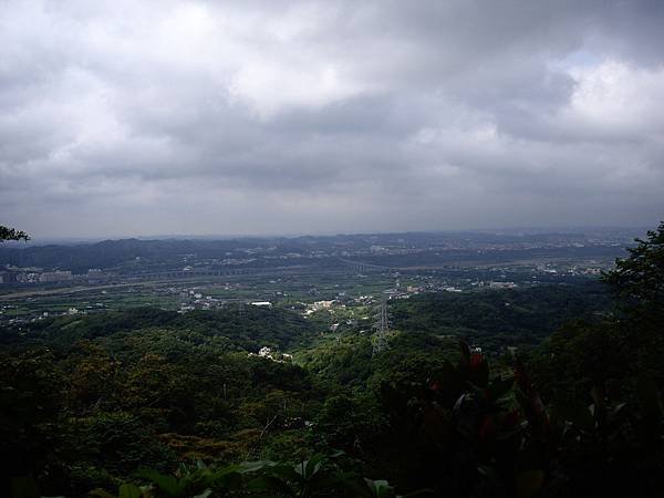 IMGP9371.JPG
