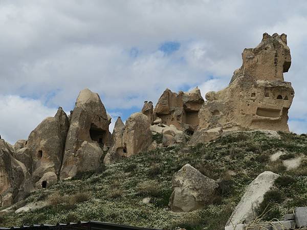 IMG_8572.JPG