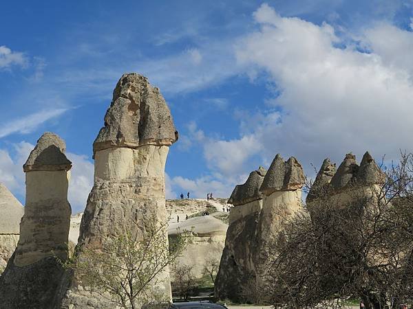 IMG_8575.JPG