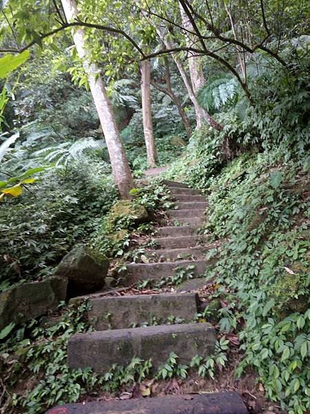 IMAG0473.jpg