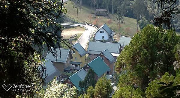 P_20210118_113832.jpg