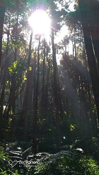 P_20210118_111514.jpg