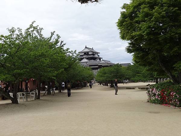 日本四國 松山城 