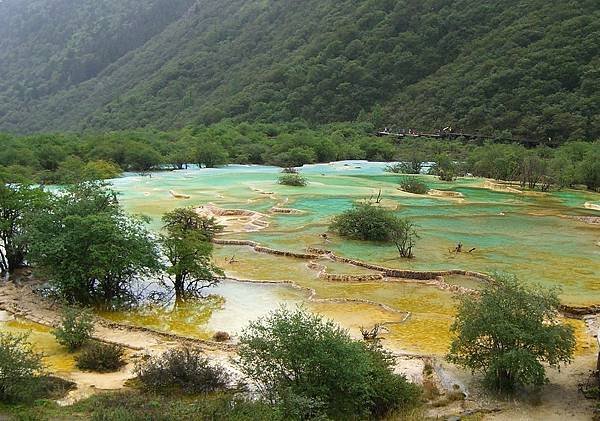 花生油 粟米油 橄欖油 芥花子油