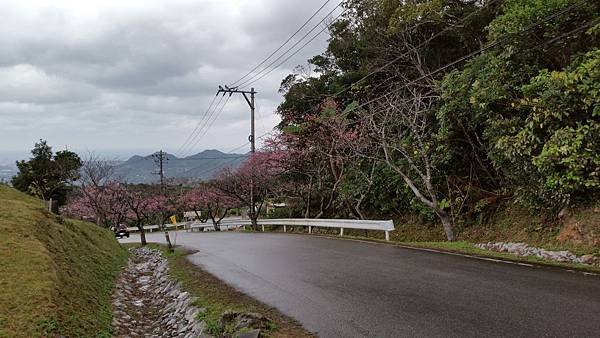 八重岳櫻之森公園20170201_172233.jpg