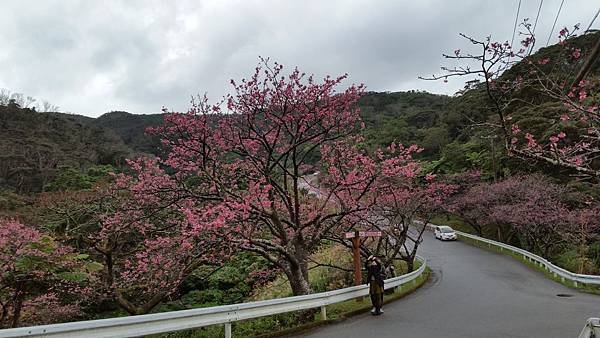 八重岳櫻之森公園20170201_172710.jpg