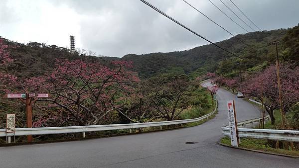 八重岳櫻之森公園20170201_172911.jpg