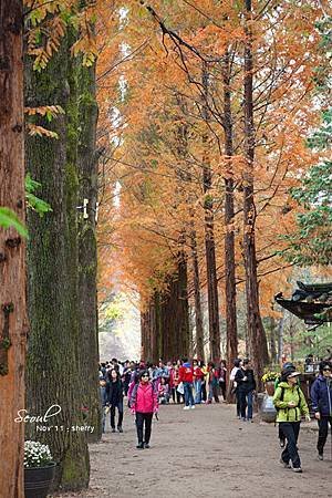 冬季戀歌場景