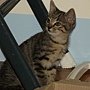 DSCF4197.JPG