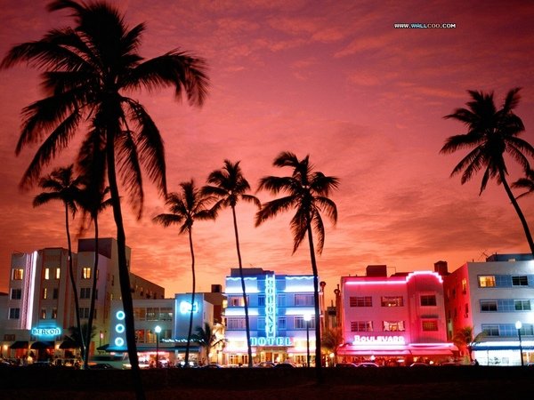 Neon_Nightlife_South_Beach_Miami_Florida.jpg