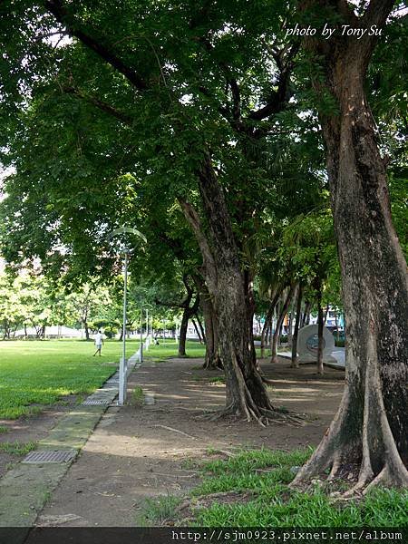 20110721-P1010076.jpg