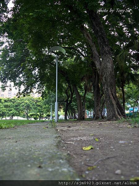20110721-P1010077.jpg