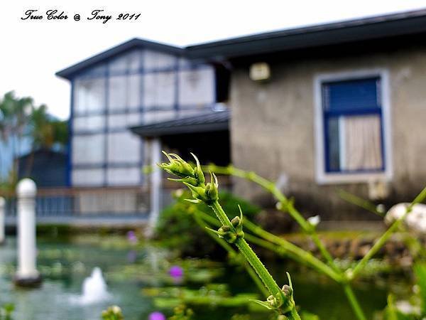 FUJIFILM   X10-46.jpg