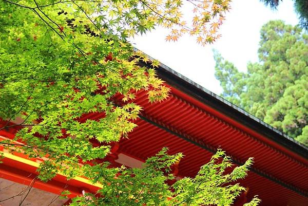 京都比叡山