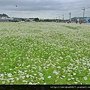 tn_P1060540.JPG