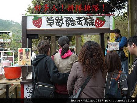 P1090300.JPG