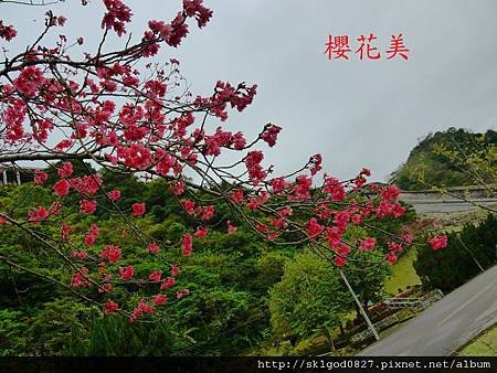 P1100663.JPG