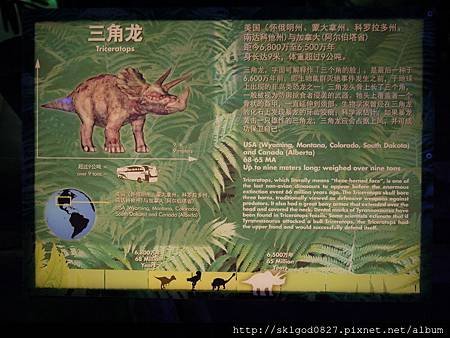 P1190191.JPG